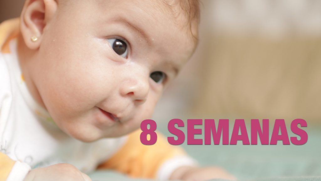 miniatura 070917 cambios que experimenta un nino o nina a las 8 semanas de vida